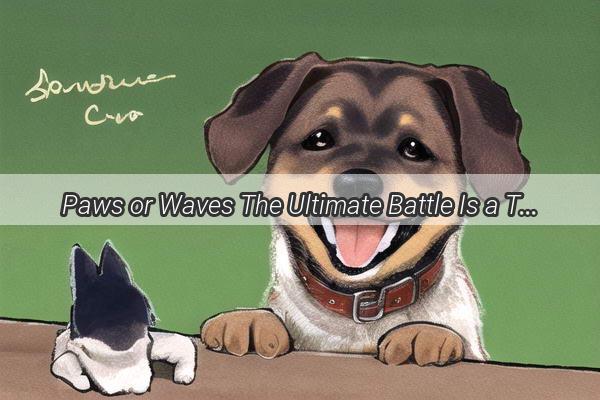 Paws or Waves The Ultimate Battle Is a Teddy Dog or the Ocean Easier to Foster